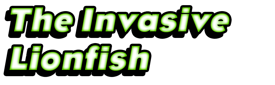 The Invasive Lionfish