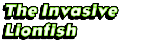 The Invasive Lionfish