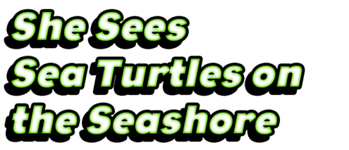 She Sees Sea Turtles on the Seashore