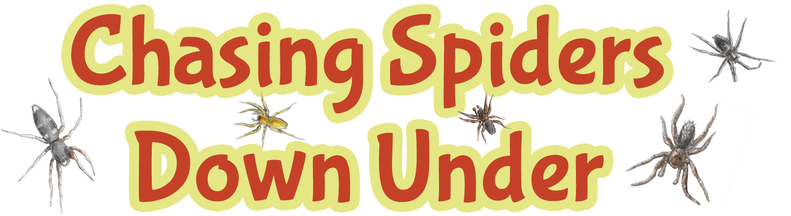 "Chasing Spiders Down Under"