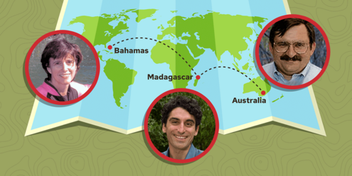 World map with  pinpoints and photos of scientists on the Bahamas, Madagascar, and Australia.