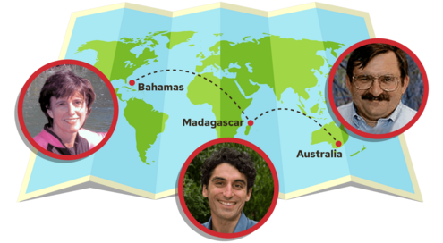 World map with pinpoints on the Bahamas, Madagascar and Australia, along with small images of a scientist at each location.