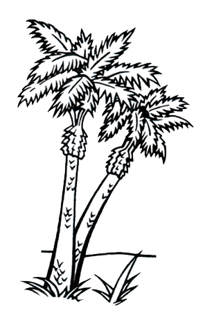 drawing of palm tree