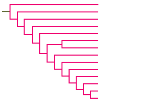 Left-facing rectangular cladogram. 