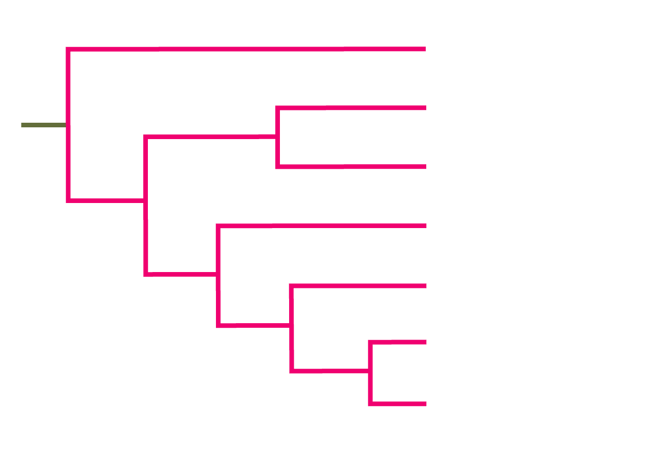 How to Read a Cladogram AMNH