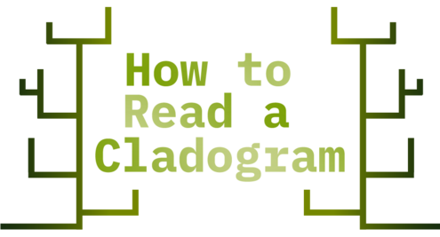 hot to read a cladogram