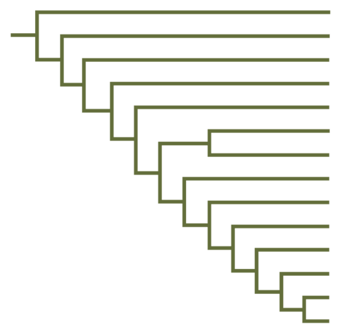 tree of life cladogram