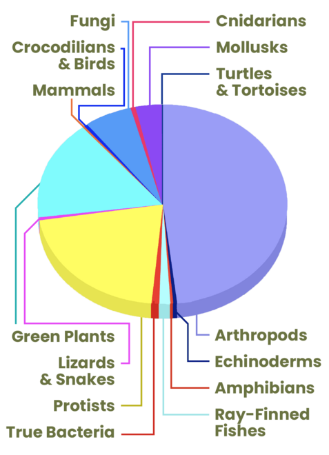 tree of life piechart