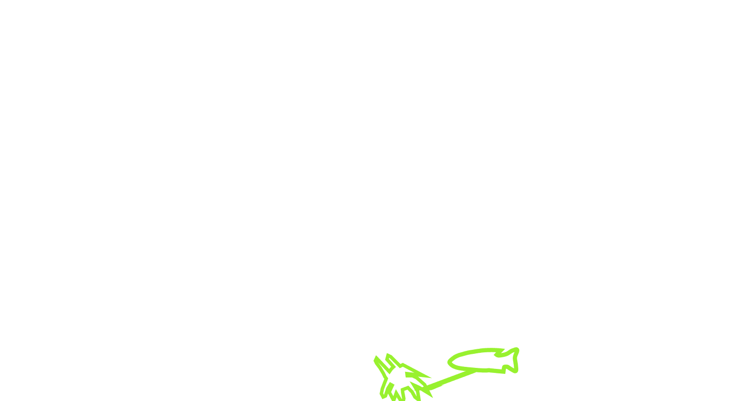 MCriver_09_barbspider