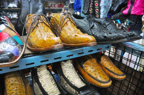 Various animal skin shoes lining a store shelf. 