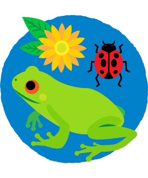 frog, ladybug and flower in a circle