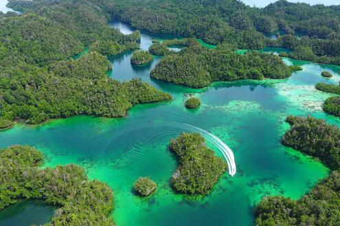 Aerial shot of green islands in shallow, sandy waters. 