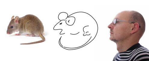 A mouse; A drawing which could be a man or mouse; Profile of a man's face. 
