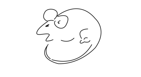 line drawing which could be interpreted as a man's face or a mouse. 