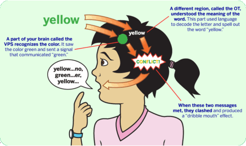 Cartoon drawing of a girl with arrows pointing to a green dot, the word yellow and the word conflict on her head. She is saying “yellow… no, green…er,