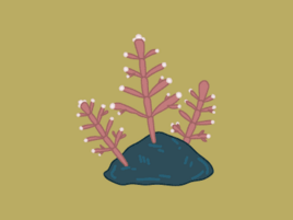 Illustration of three plants growing from a dark rock.