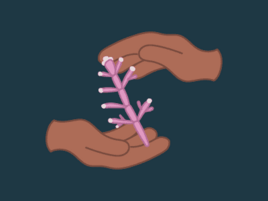 Illustration of two hands gently holding a small plant.