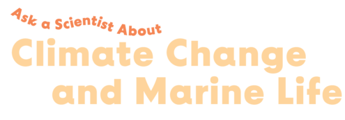 Ask a Scientist About Climate Change and Marine Life