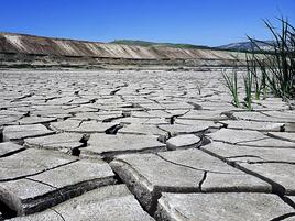 Effects of drought on soil in Algeria