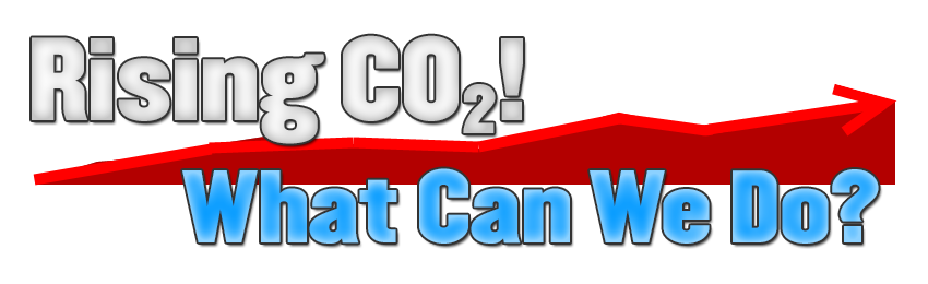 Rising CO2! What Can We Do?