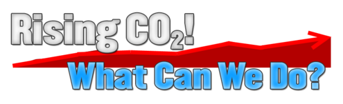 Rising CO2! What Can We Do?