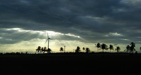 Cloudy sky with sun going trough and silhouettes of windmills and palm trees