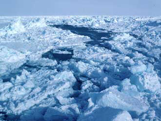 sea ice