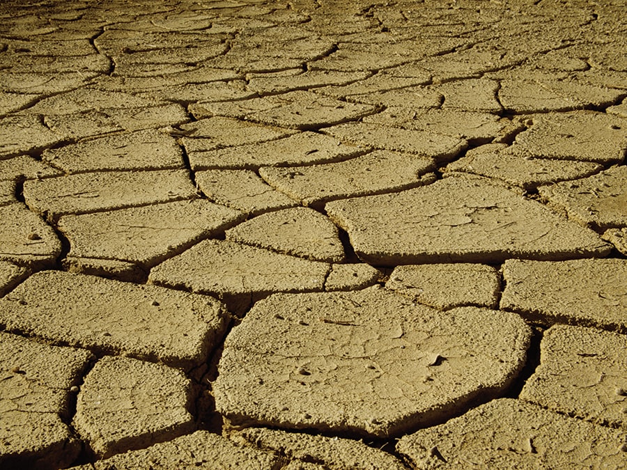 dry cracked earth