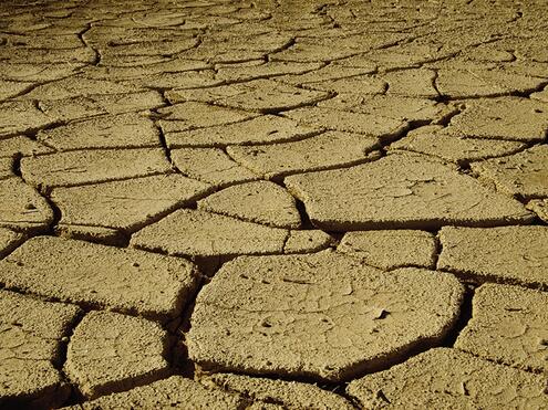 dry cracked earth