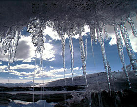 melting icicles