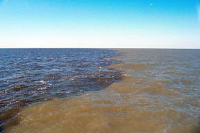 Gulf of Mexico