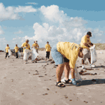 volunteers cleaning a beach