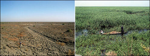 The marshlands of Mesopotamia before and after revitalization