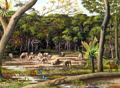 illustration of an animal habitat