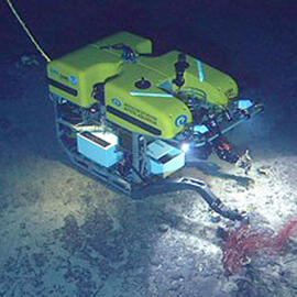 A Remotely Operated Vehicle (ROV) explores the seafloor.