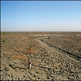 drained marshlands of Mesopotamia 
