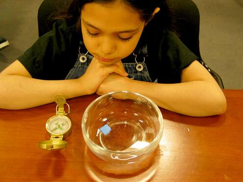 girl looking at her homemade compass in a bowl of water