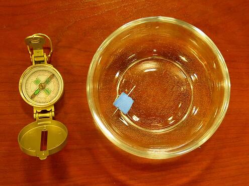 a real compass next to the bowl of water with the home made compass with both pointing north