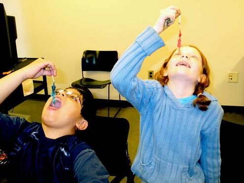 2 children about to eat the rock candy they made
