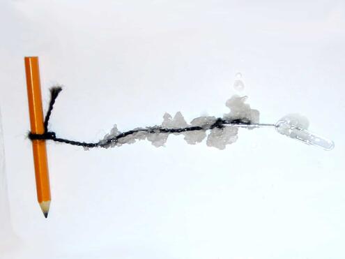 the string with formed crystals places aside to dry on a paper towel