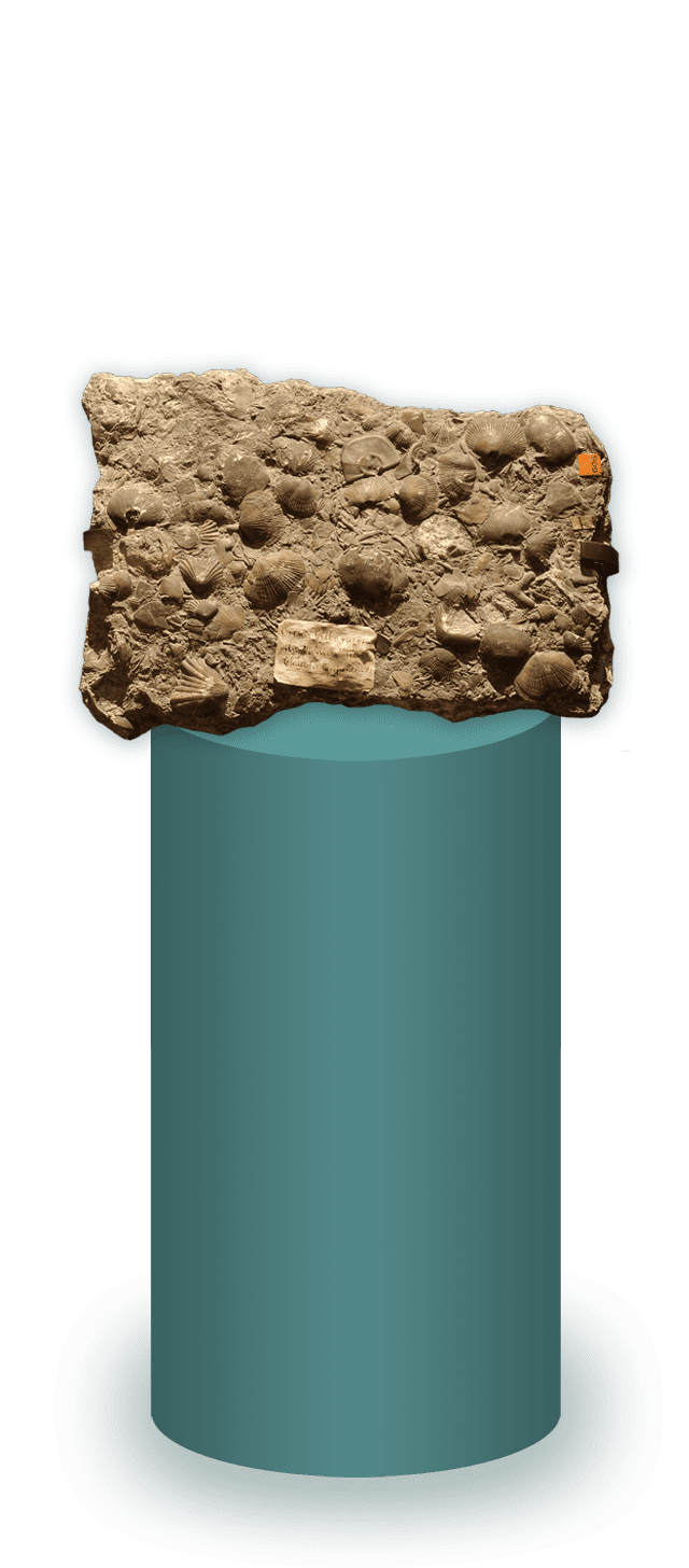 Limestone sitting on a pedestal