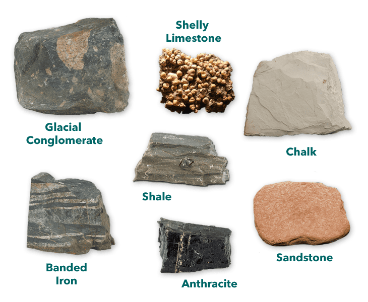 3 Types of Rock Igneous, Sedimentary & Metamorphic AMNH