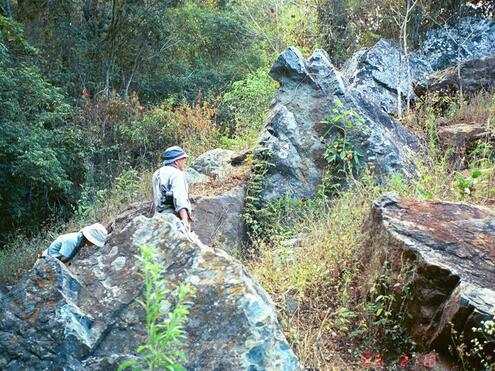 large jade deposits in forest