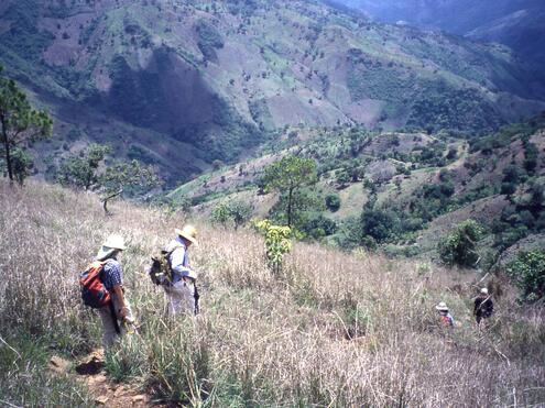 climbing up mountainside looking for jade