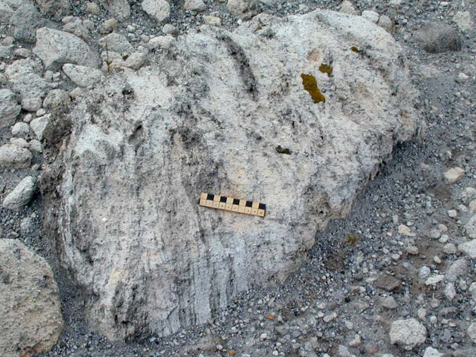 pumice in the field