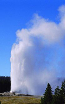 Old Faithful spewing