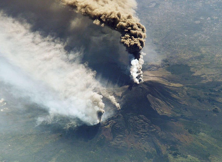 Plates on the Move Game AMNH