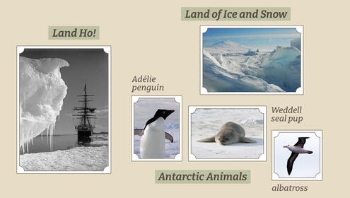 scrapbook page with pictures of ship docking in Antarctica, Antarctic animals like albatross, seal pup and penguin