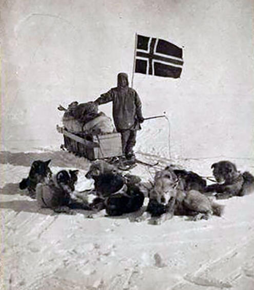 Amundsen in with dogs posing in front of the Norwegian Flag