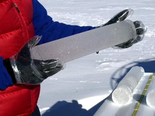 scientist holding cylindrical ice core